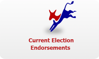 Current Election Endorsements